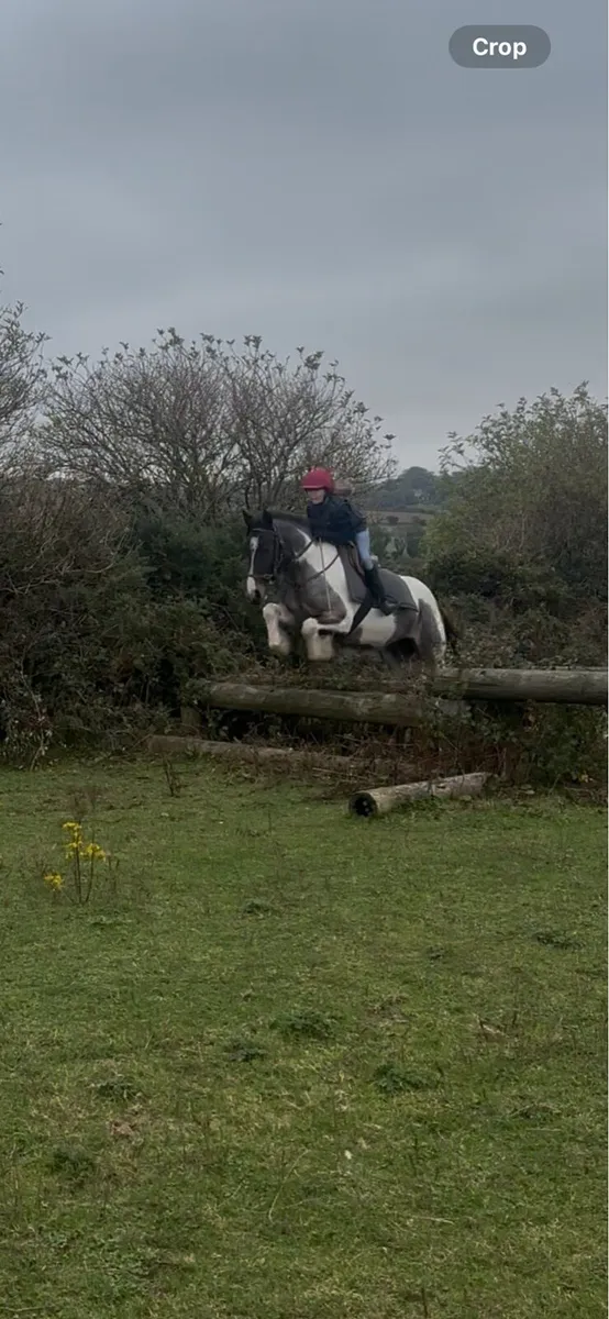 Smashing Family Cob - Image 1
