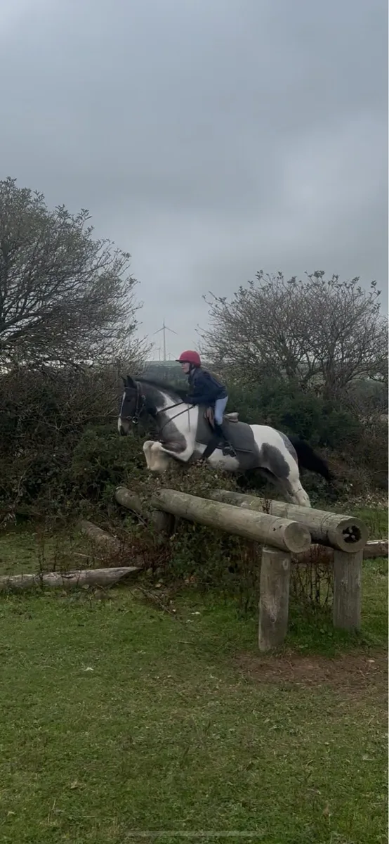 Smashing Family Cob - Image 4