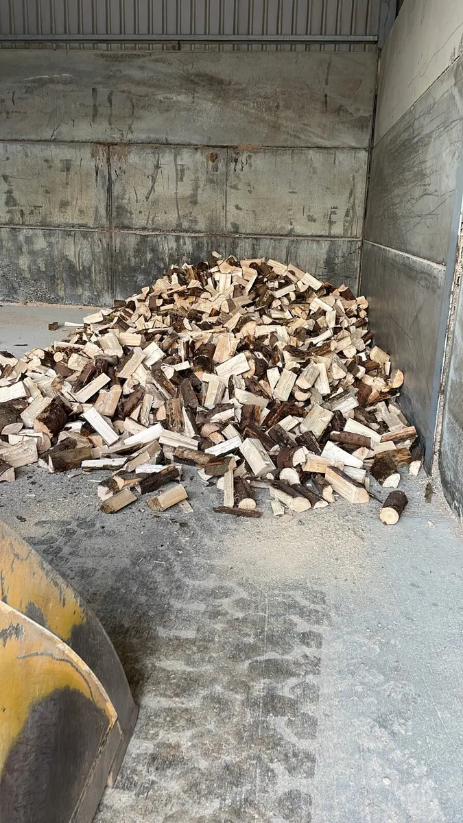 Firewood - Image 2