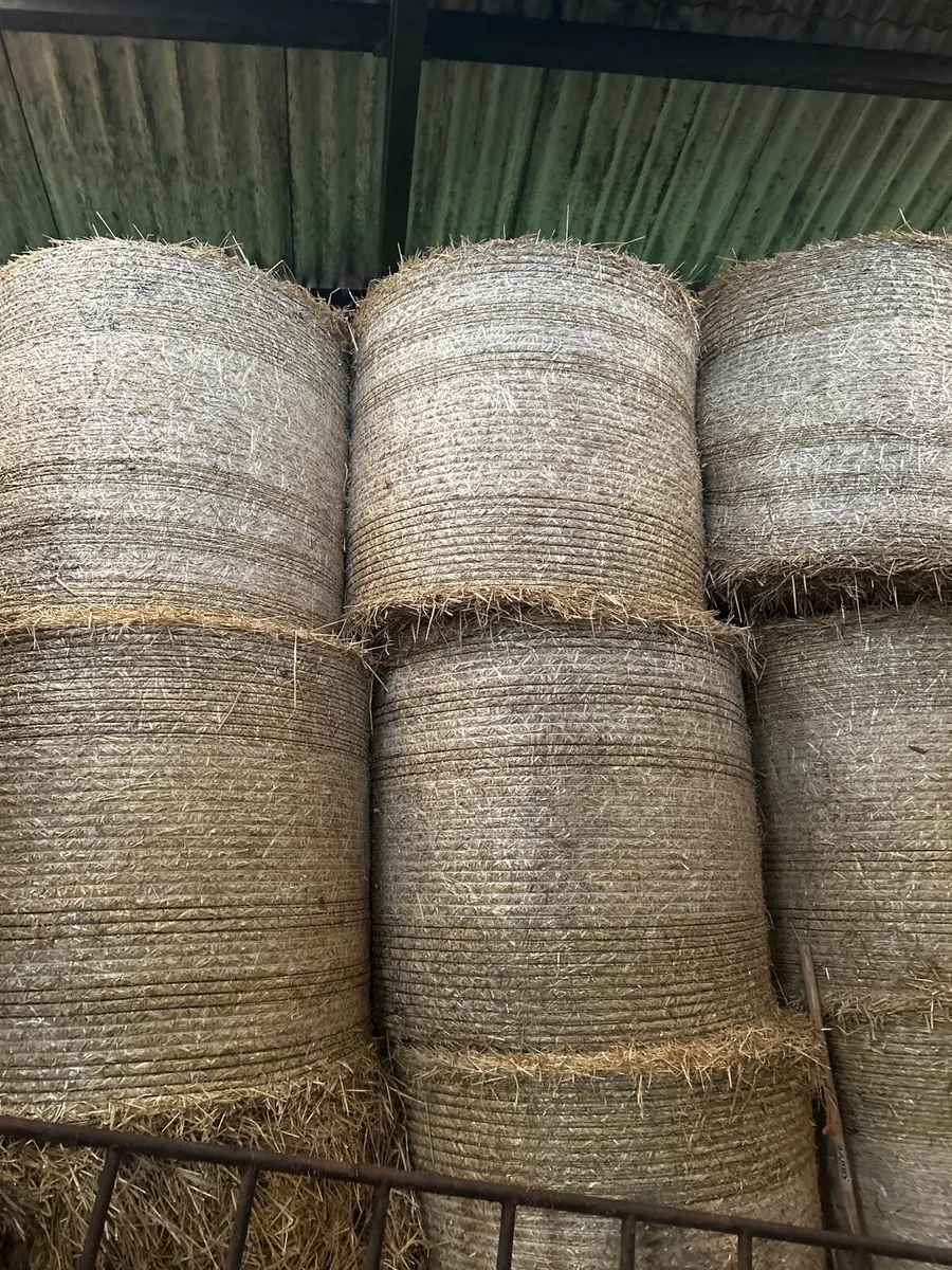 Straw - Image 1