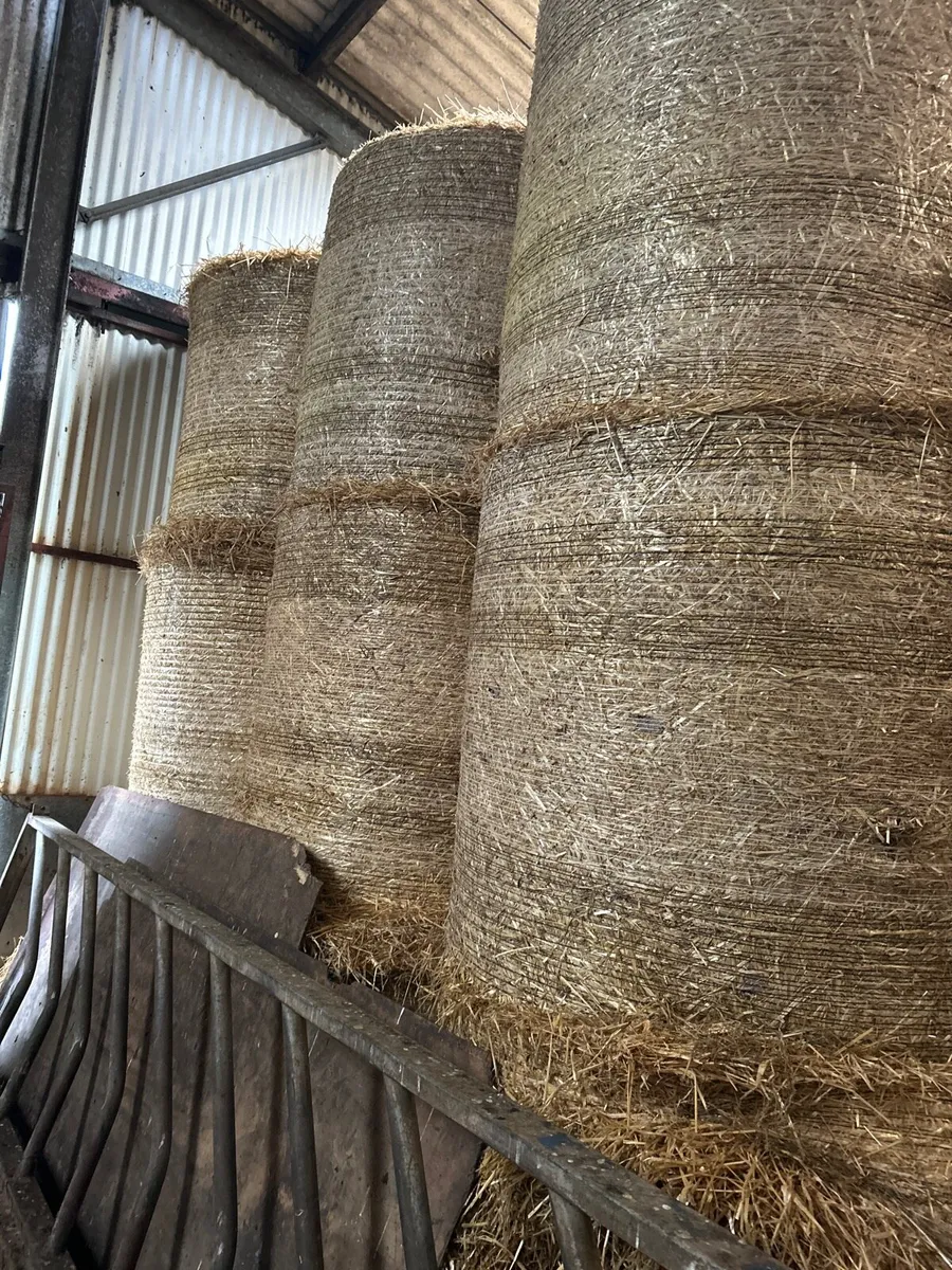 Straw - Image 2
