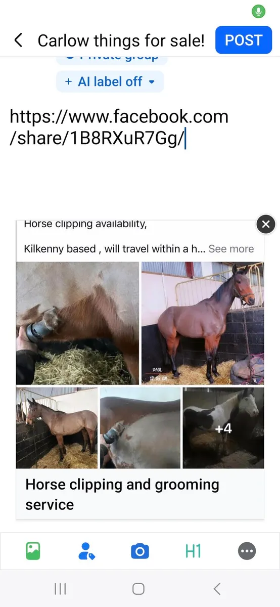 Horse clipping