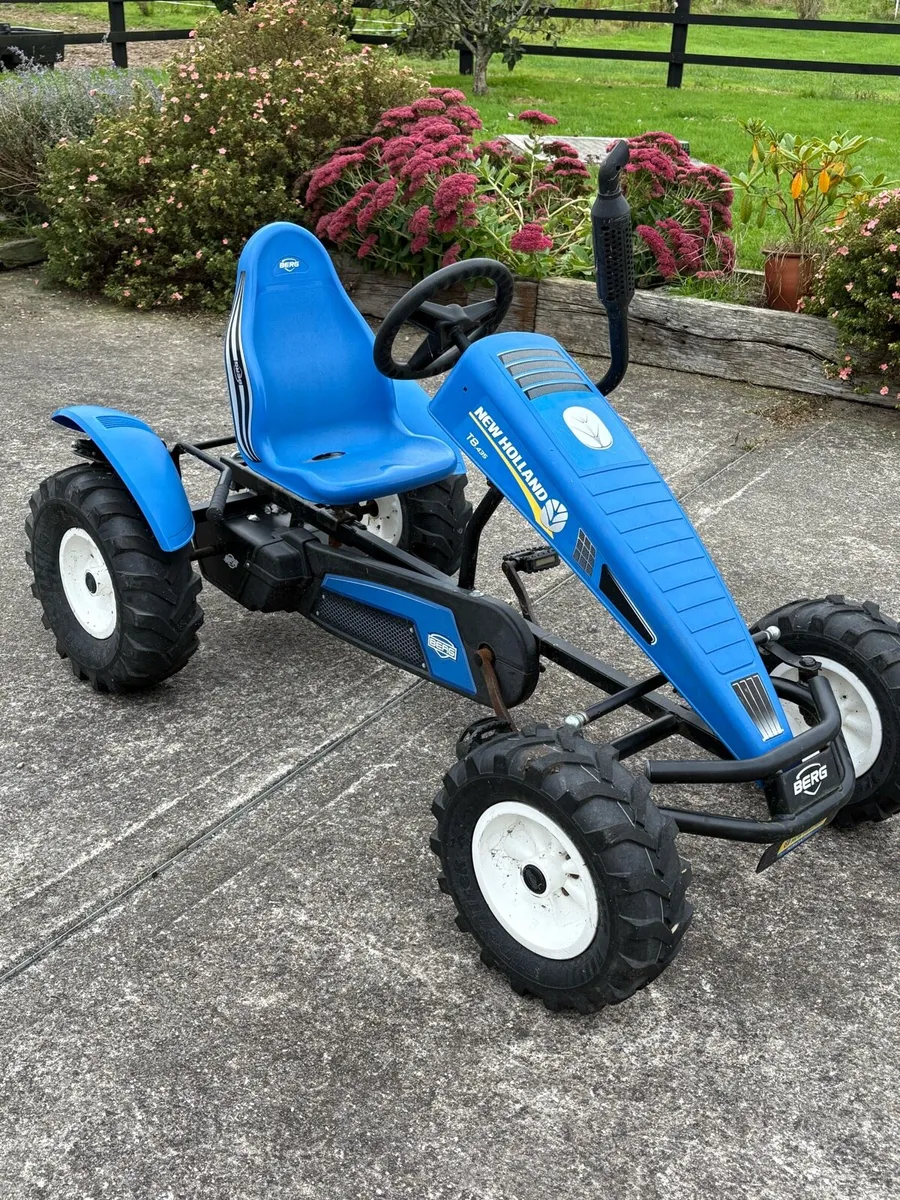 Berg go kart - Image 1