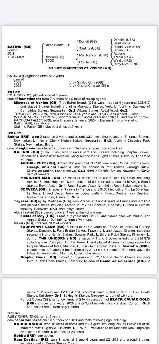 Broodmare - Image 1