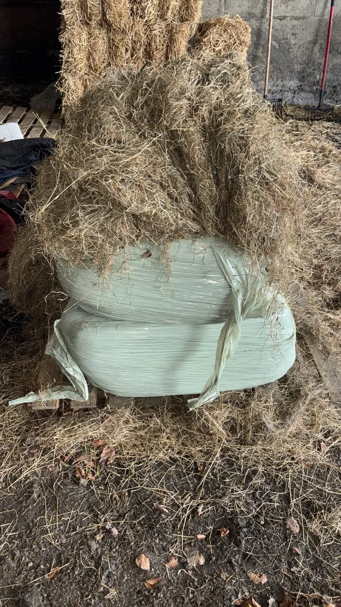 HAYLAGE,4#4 HAY AND STRAW - Image 4