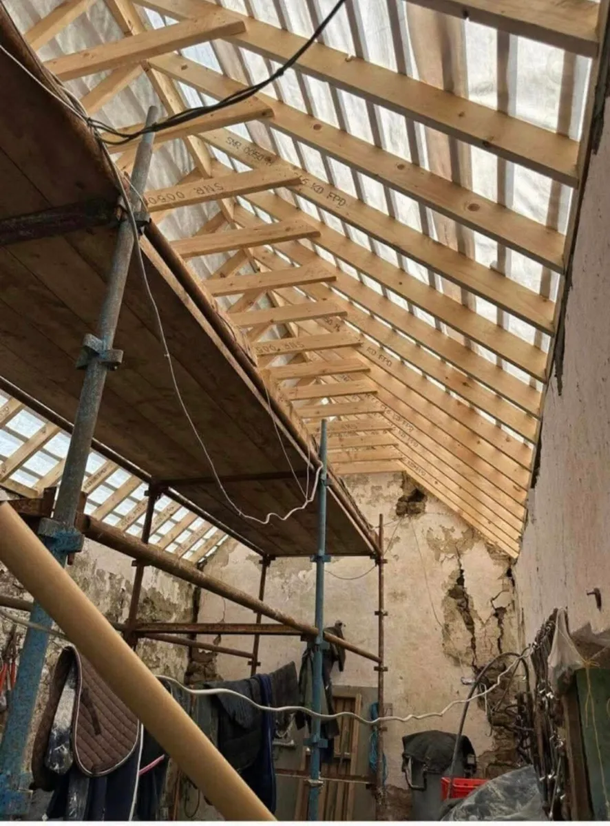 Carpenter - Image 4