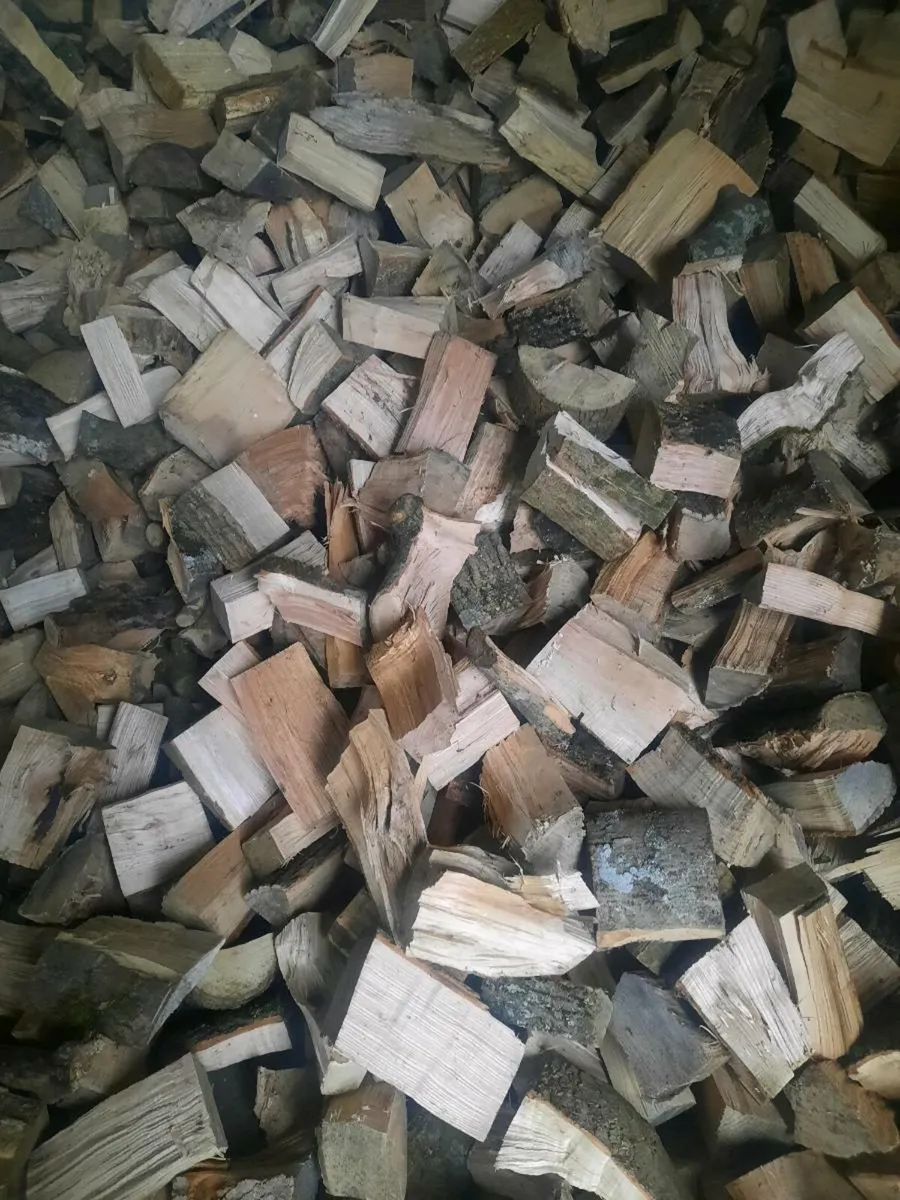 Firewood - Image 1