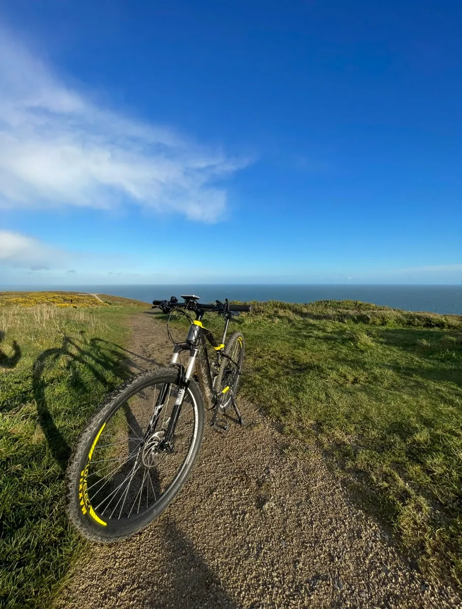 LOVELEC Drago 36V 20Ah 720WH Grey/Yellow E-MTB - Image 3