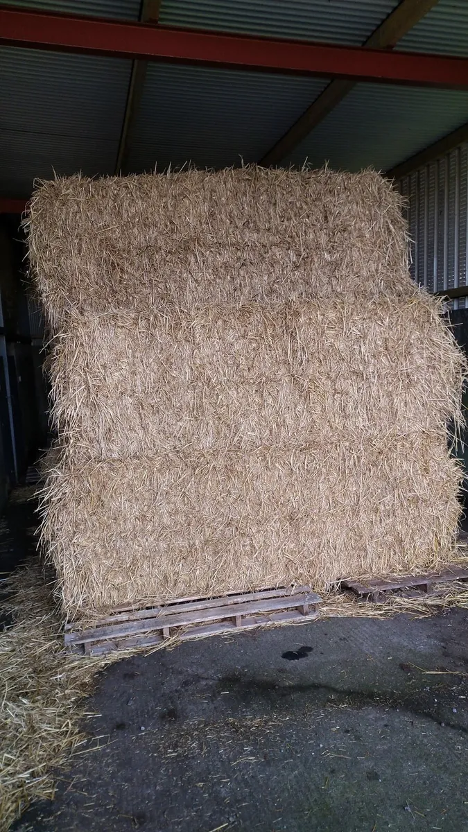 *****STRAW FOR SALE***** - Image 2