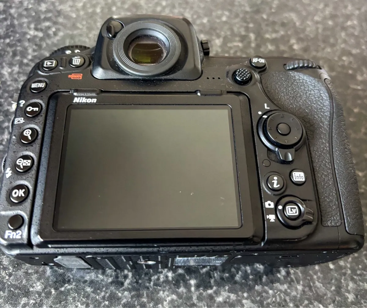 Nikon D500 - Image 4