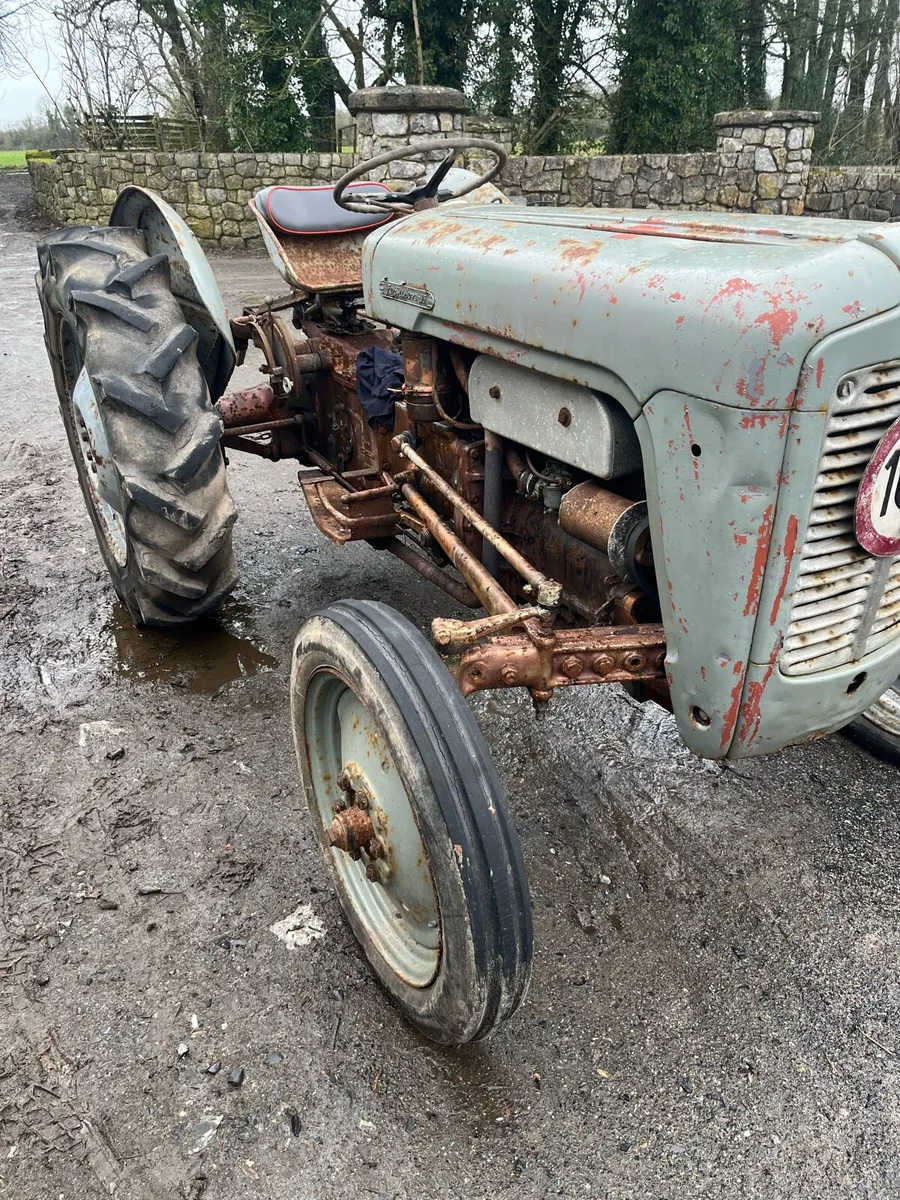 Ferguson 35 Gold Belly TVO - Image 2