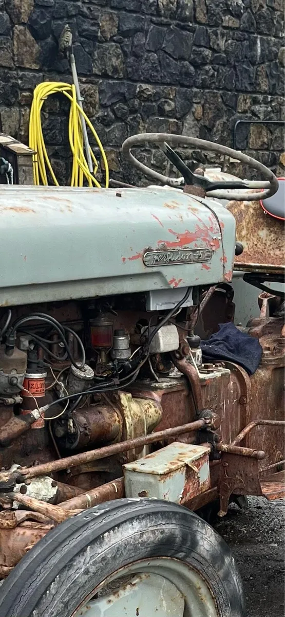 Ferguson 35 Gold Belly TVO - Image 3