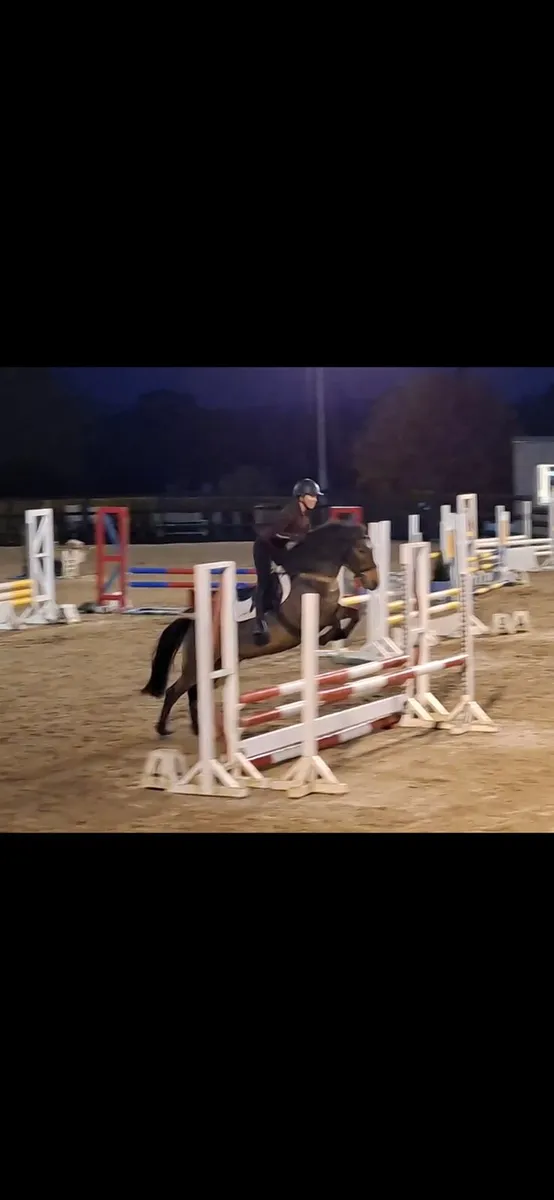 138 Show Jumping Pony - Image 4
