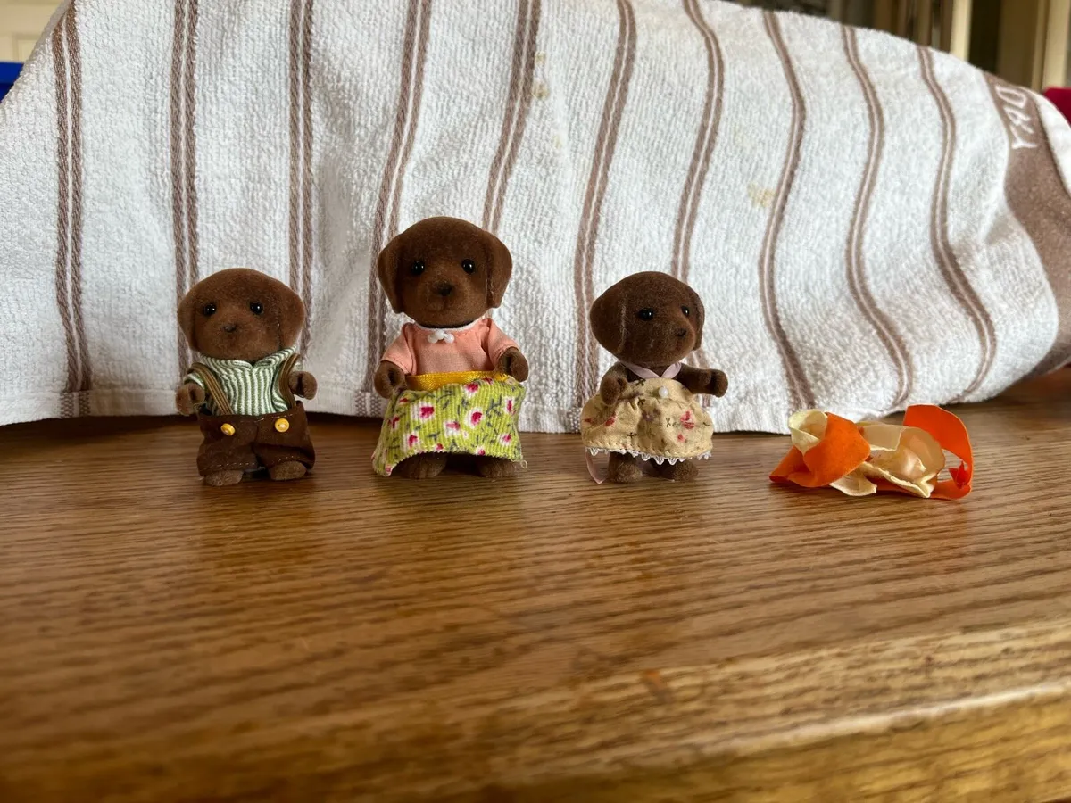 Sylvanian Families Bundle - Image 4
