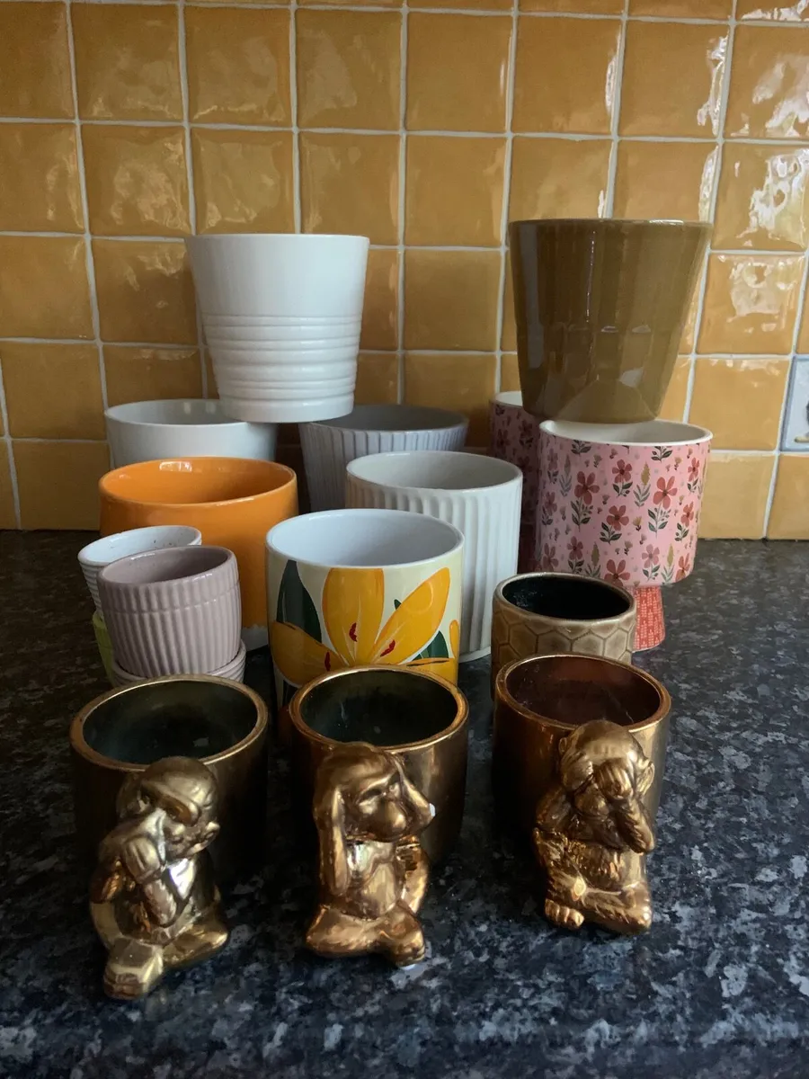 Plant pots