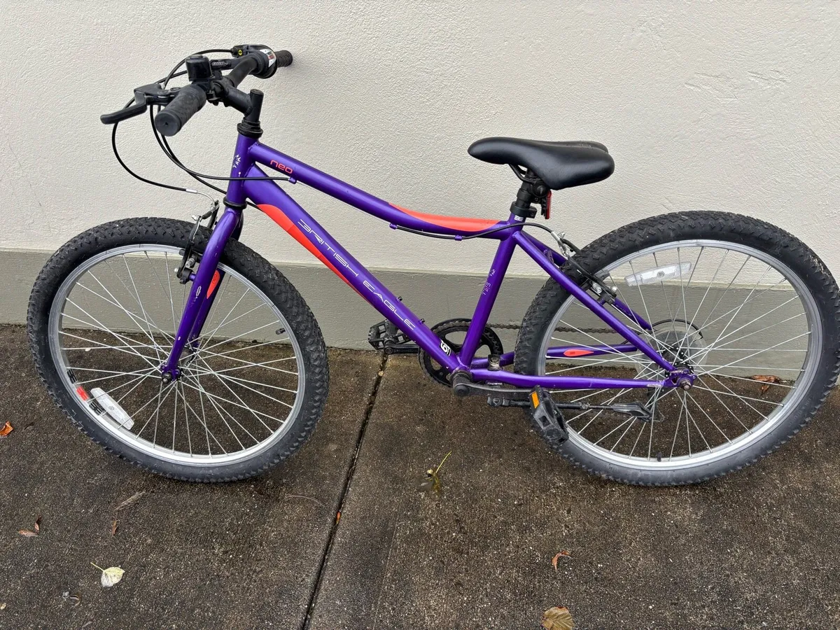 Girls Bicycle - Image 1