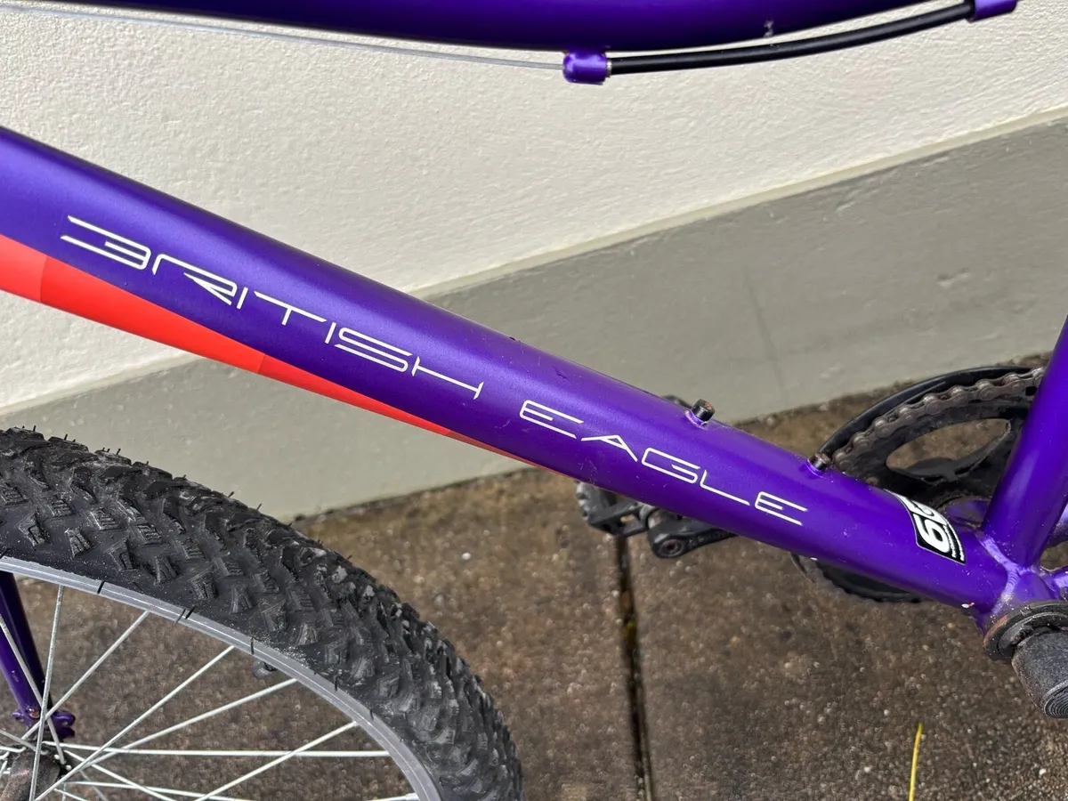Girls Bicycle - Image 2