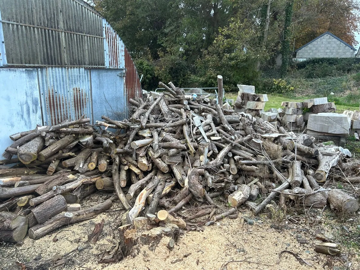 Logs - Image 1