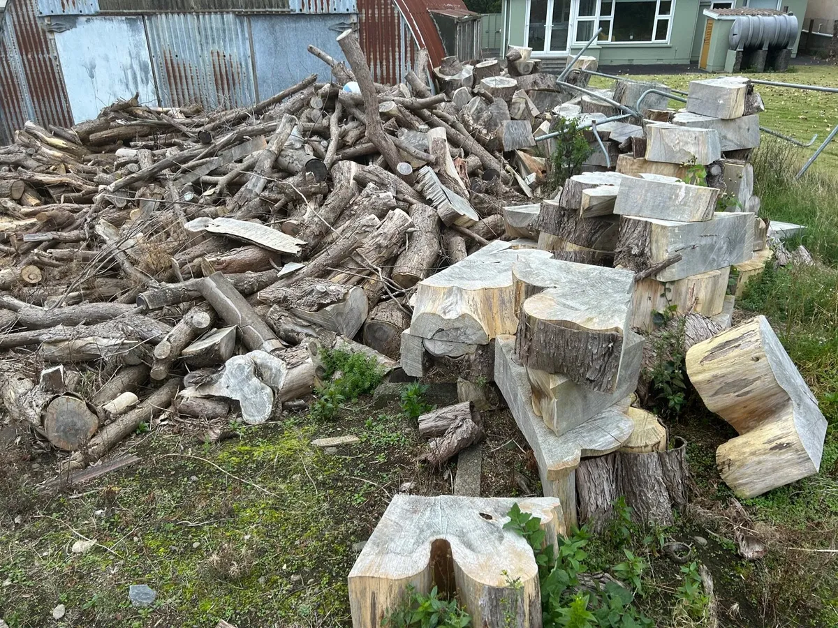 Logs - Image 2