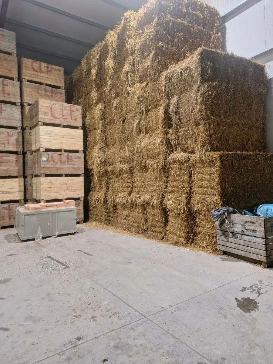 Straw