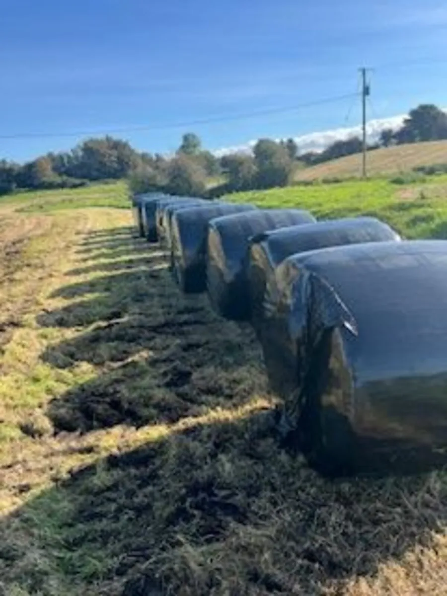 Silage