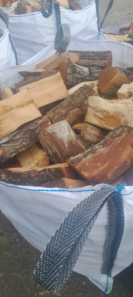 Seasoned firewood - Image 1
