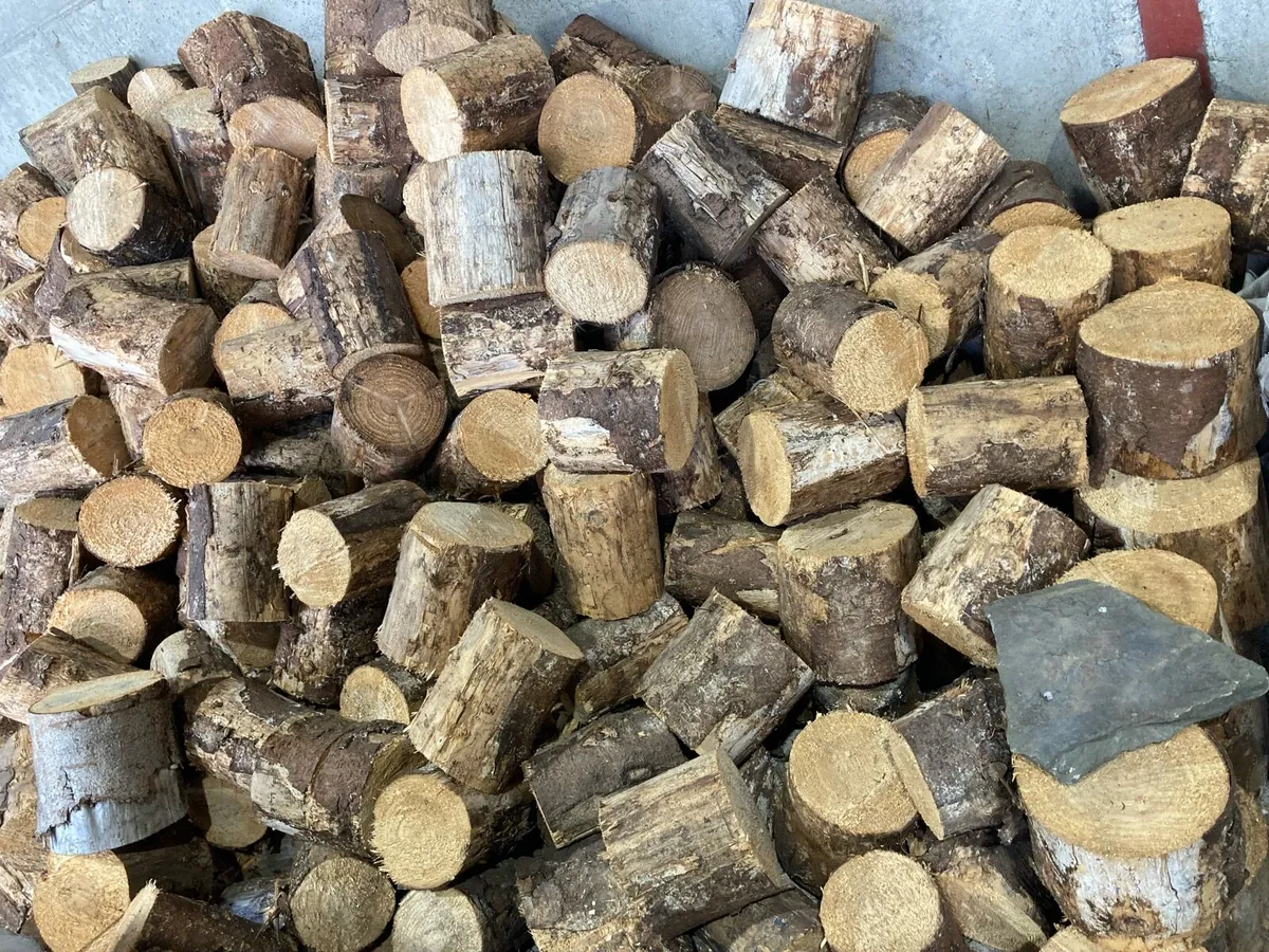 Seasoned firewood - Image 3