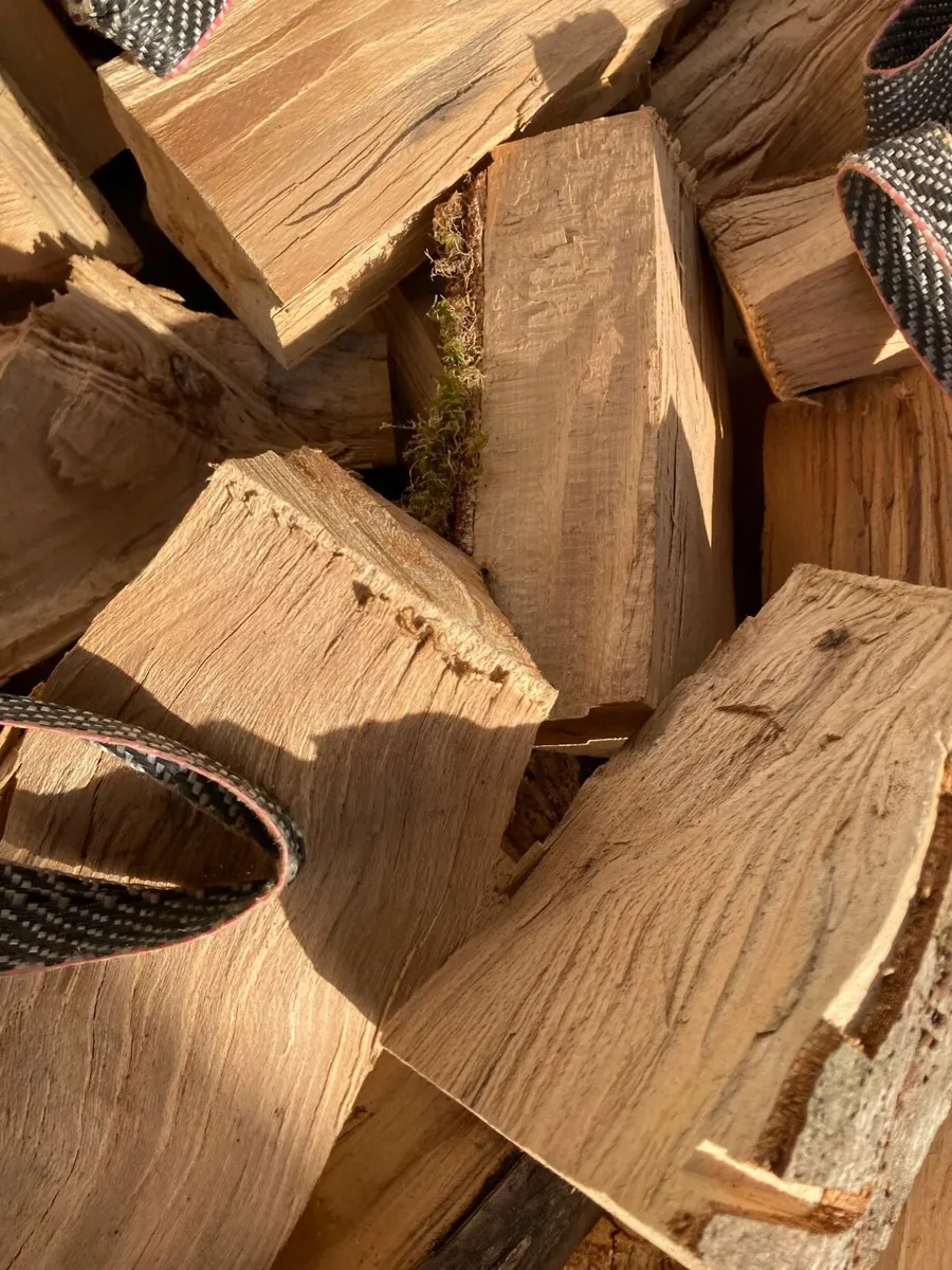 Seasoned firewood - Image 4