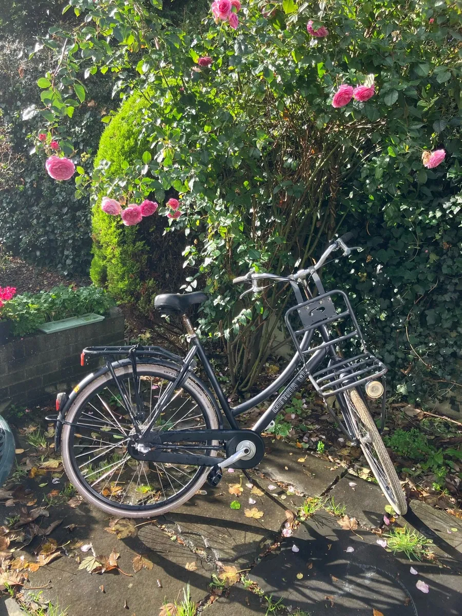 Bike - Image 1
