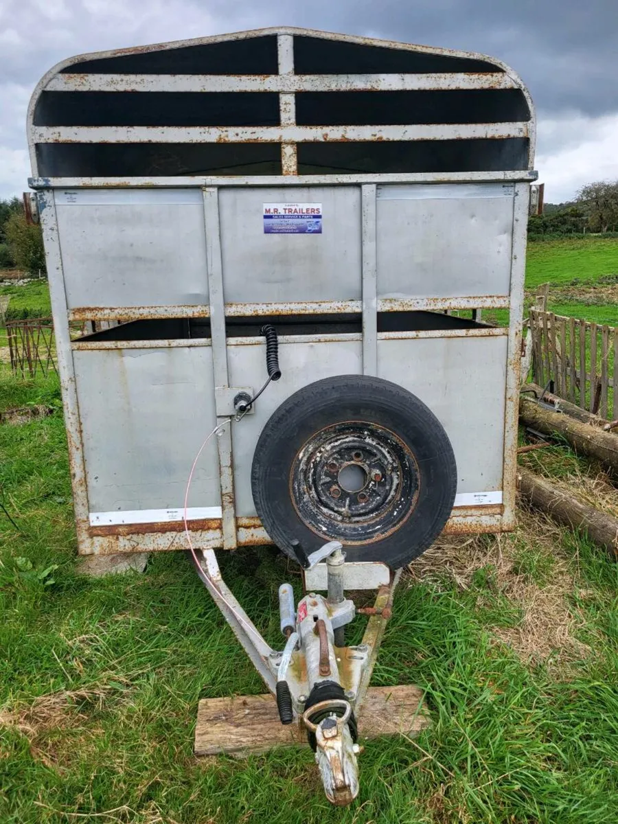 Cattle/sheep trailer - Image 1
