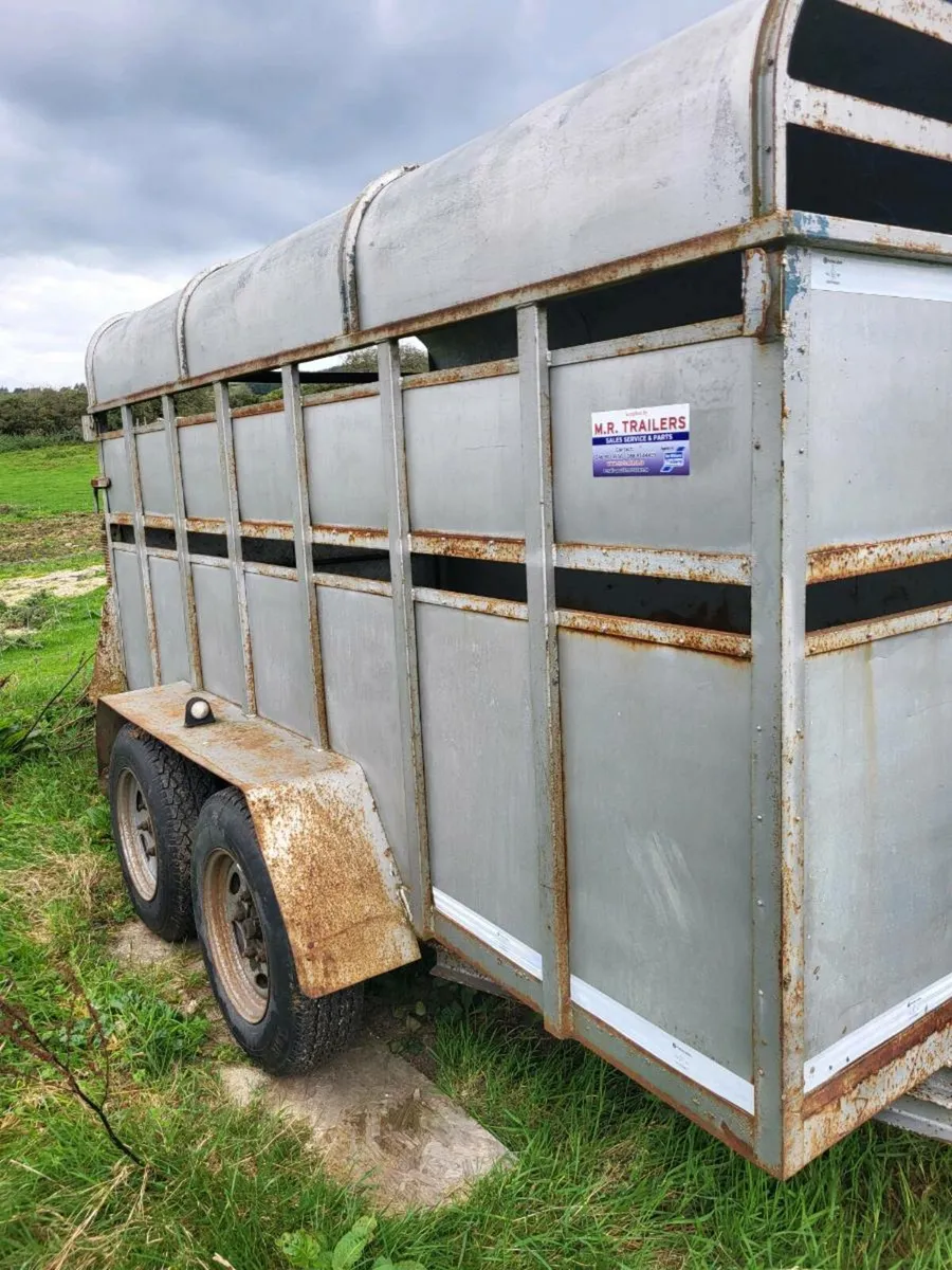 Cattle/sheep trailer - Image 2
