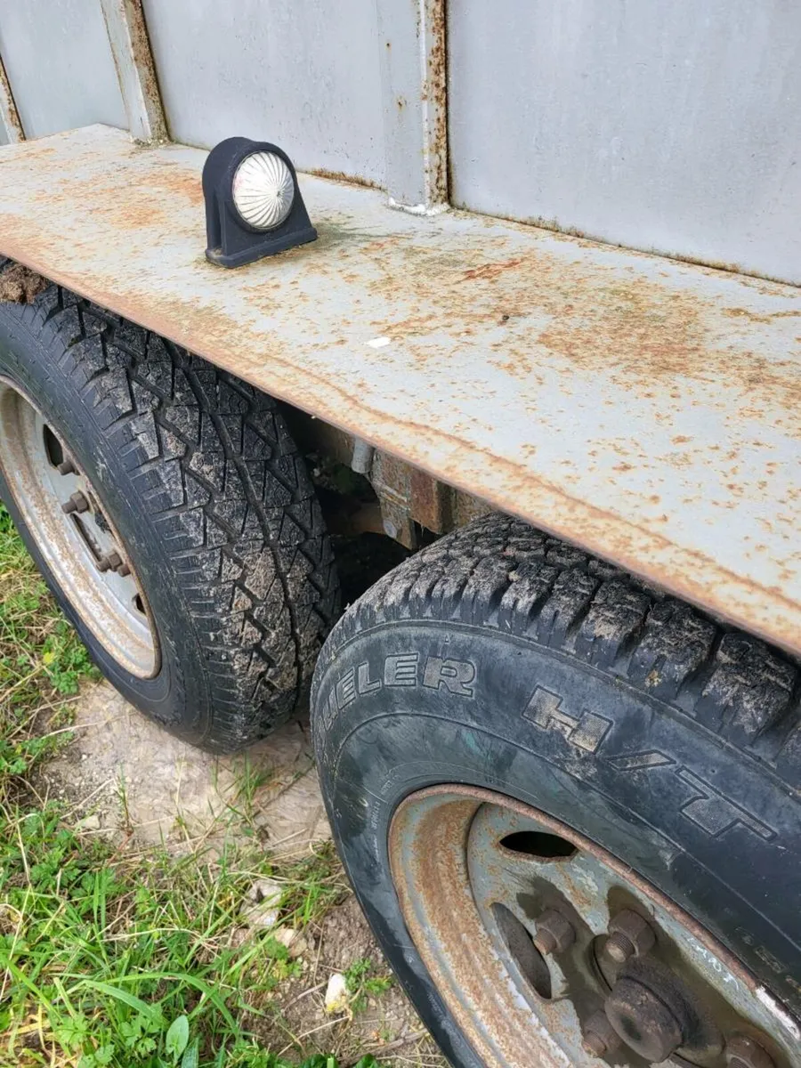 Cattle/sheep trailer - Image 3