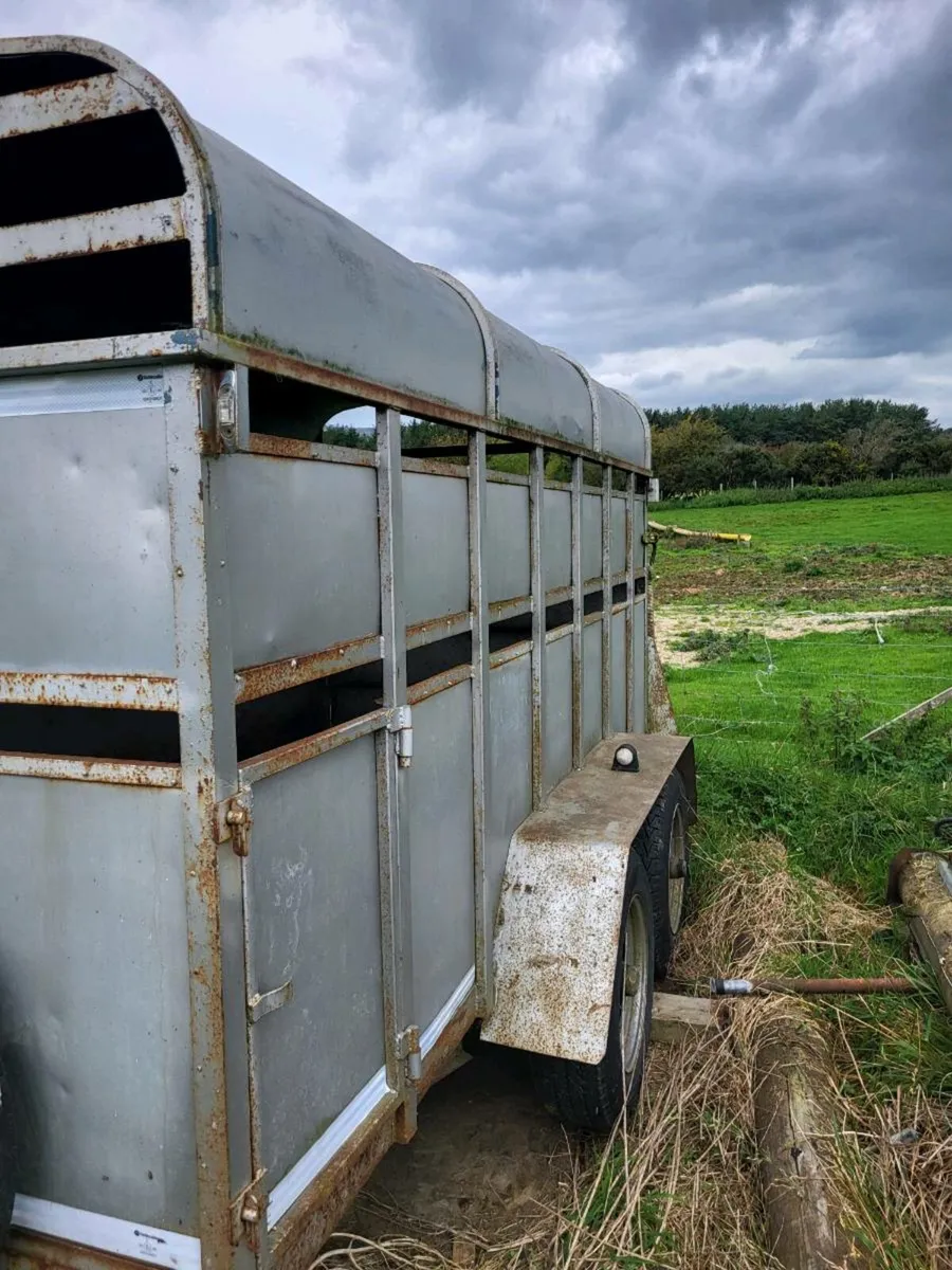 Cattle/sheep trailer - Image 4