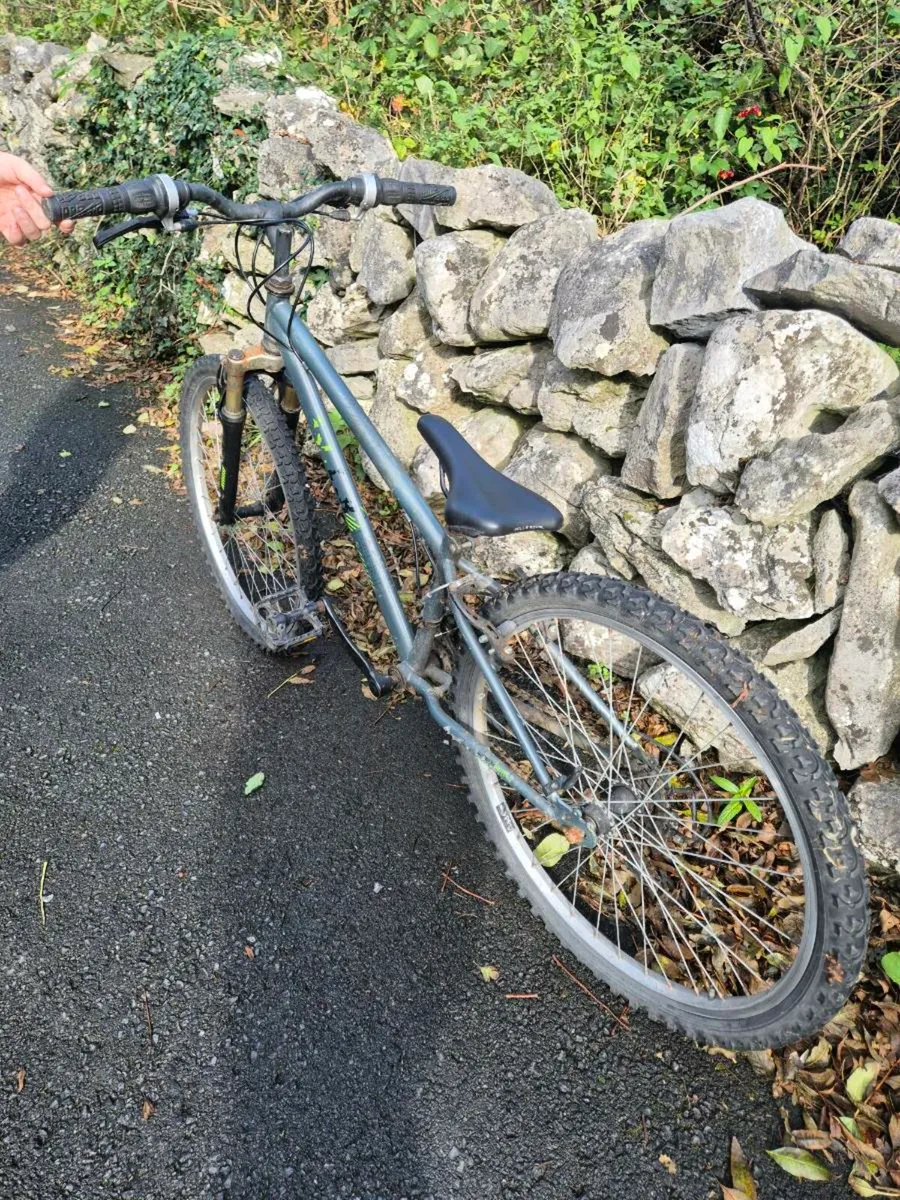 Kids bike - Image 4