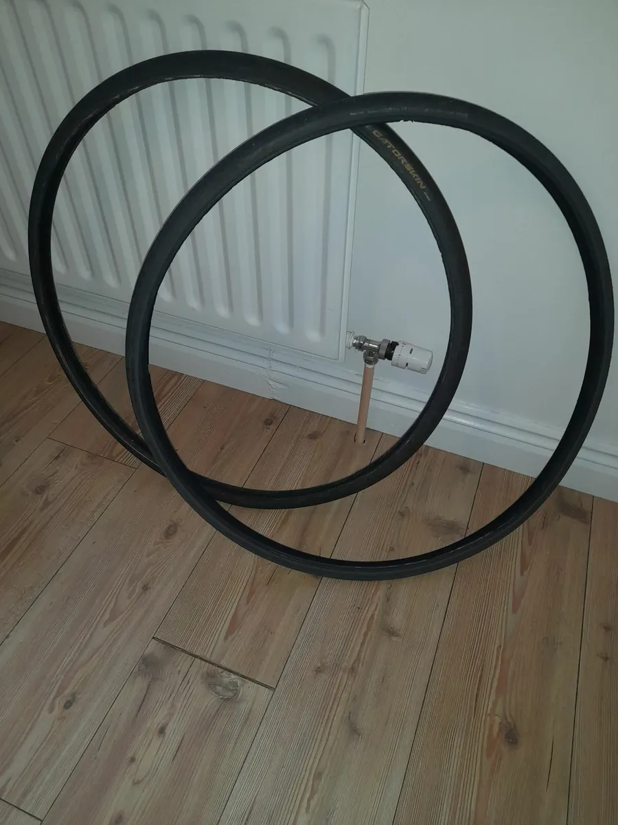 Bike rim and tyres - Image 1