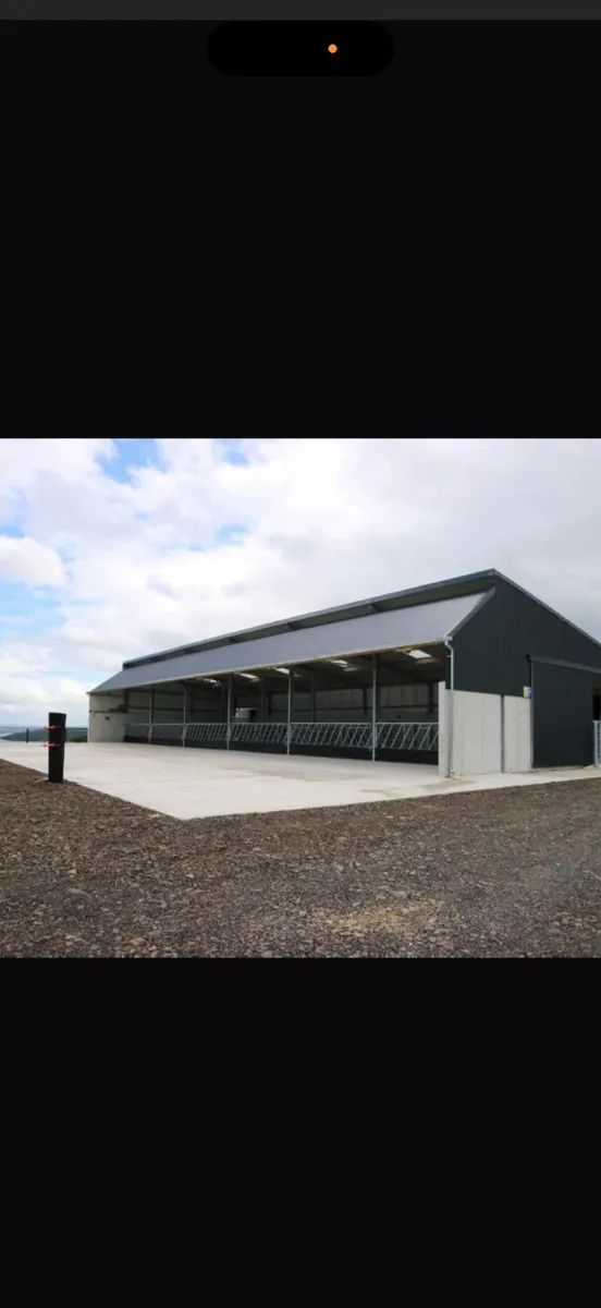 Slatted shed wanted - Image 2