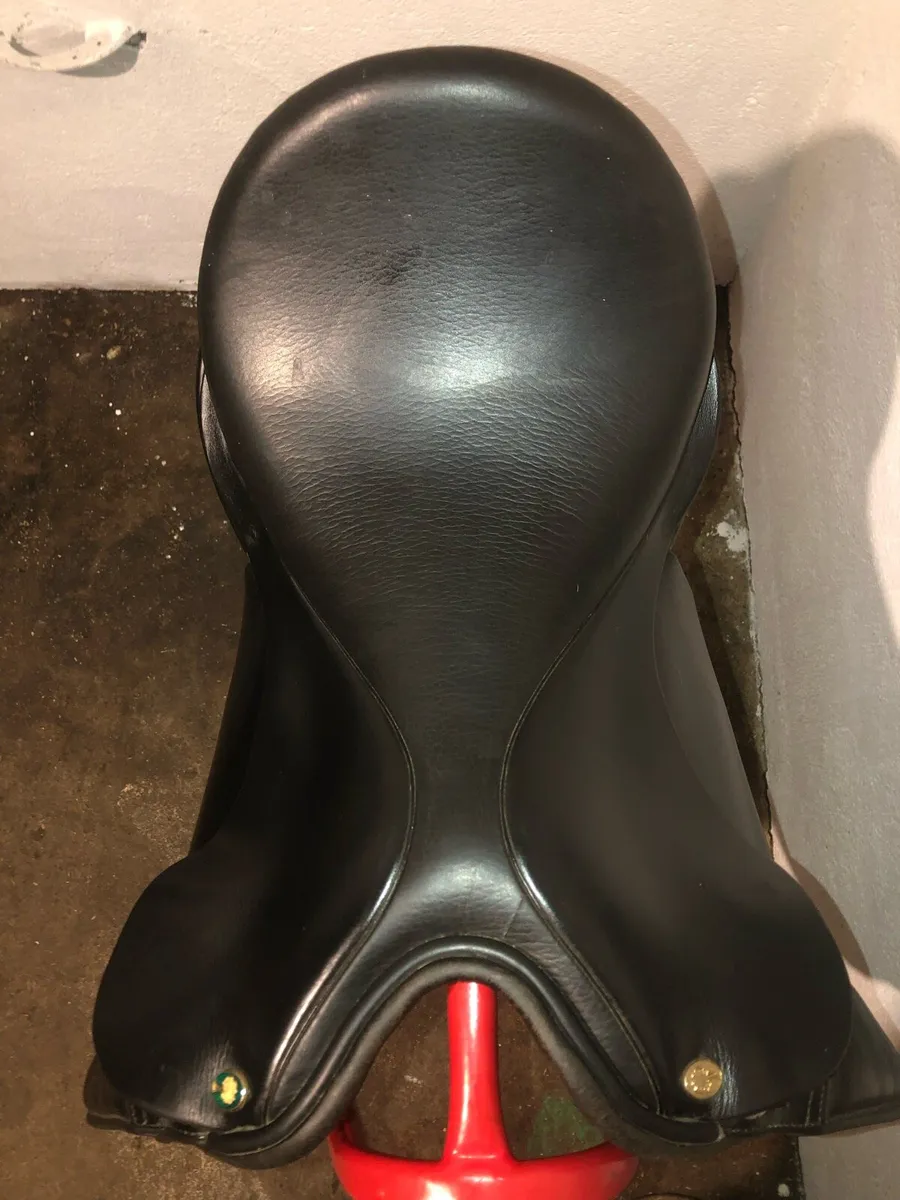 English leather dressage saddle - Ainsley - Image 2