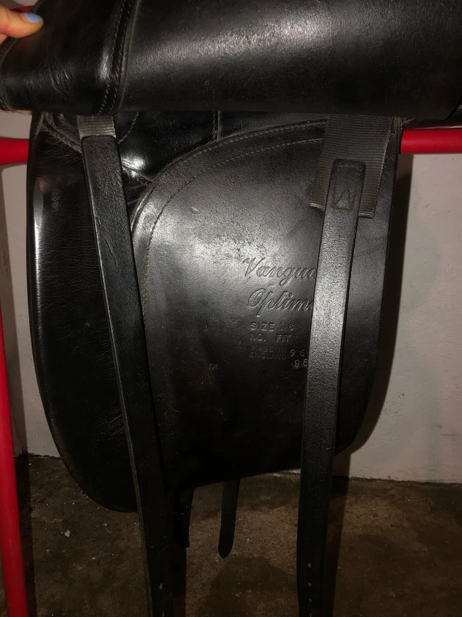 English leather dressage saddle - Ainsley - Image 4
