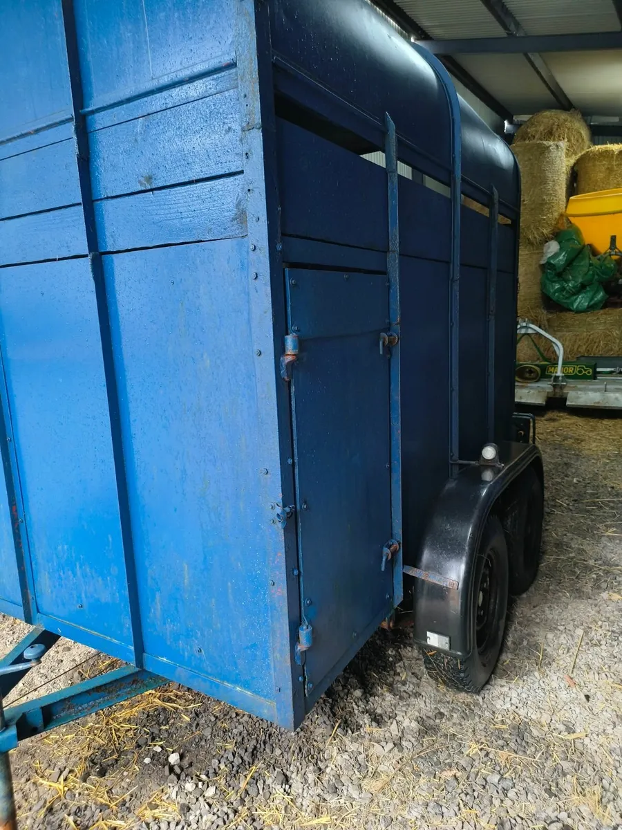 Cattle trailer 8x5 - Image 2