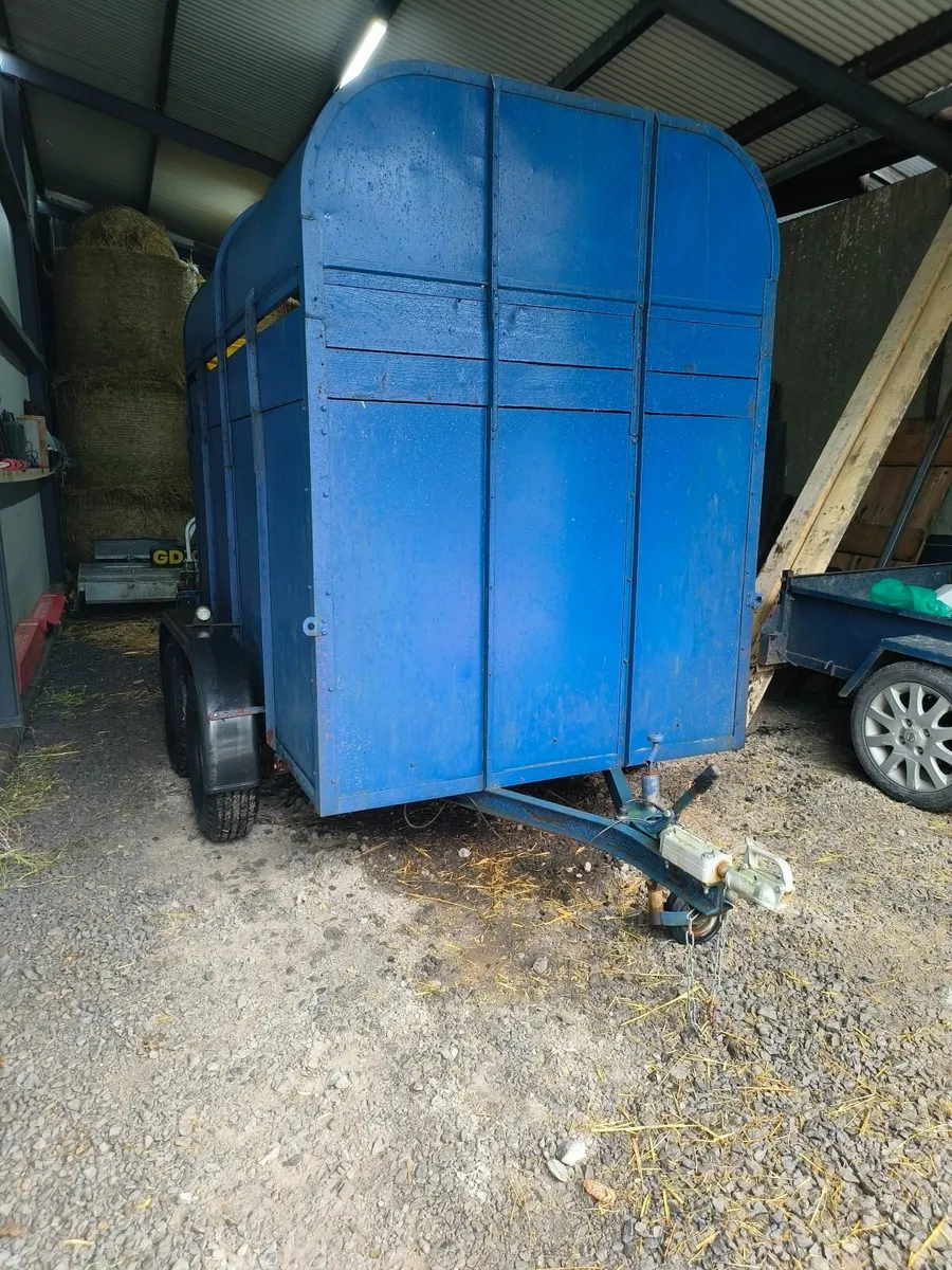Cattle trailer 8x5 - Image 1