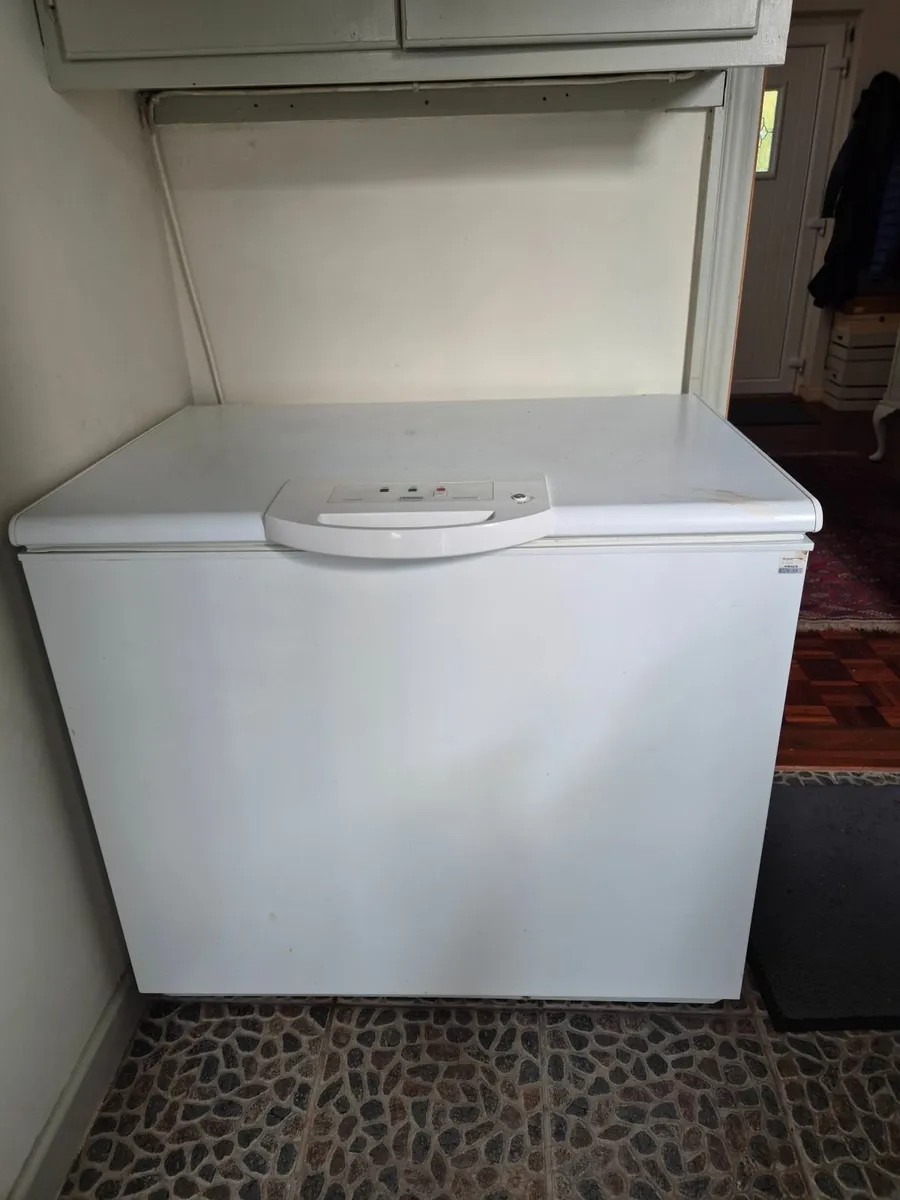 Chest Freezer - Image 1