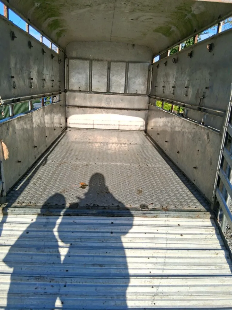 12x6 cattle trailer - Image 3