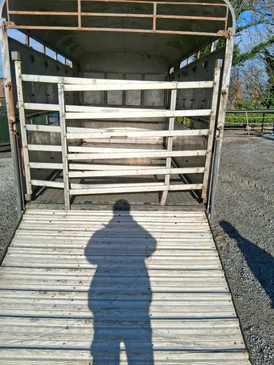 12x6 cattle trailer - Image 4