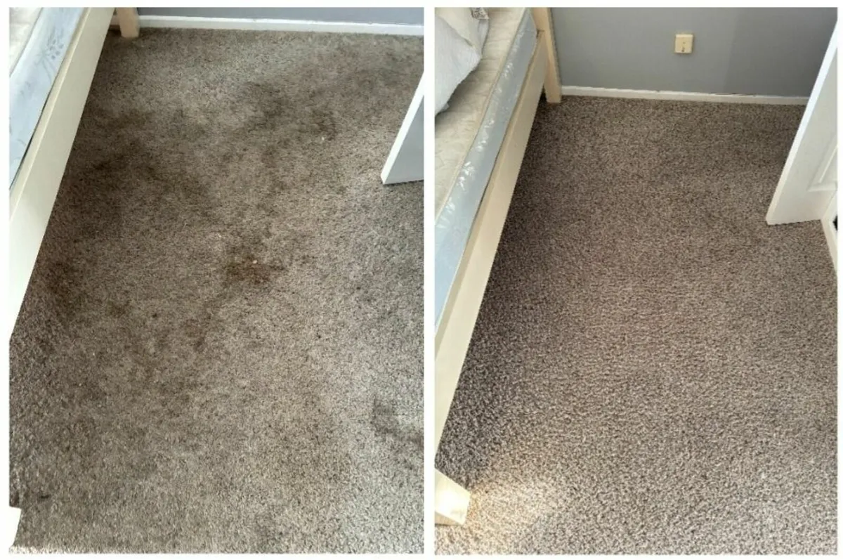 Professional Carpet & Upholstery Cleaning - Image 3
