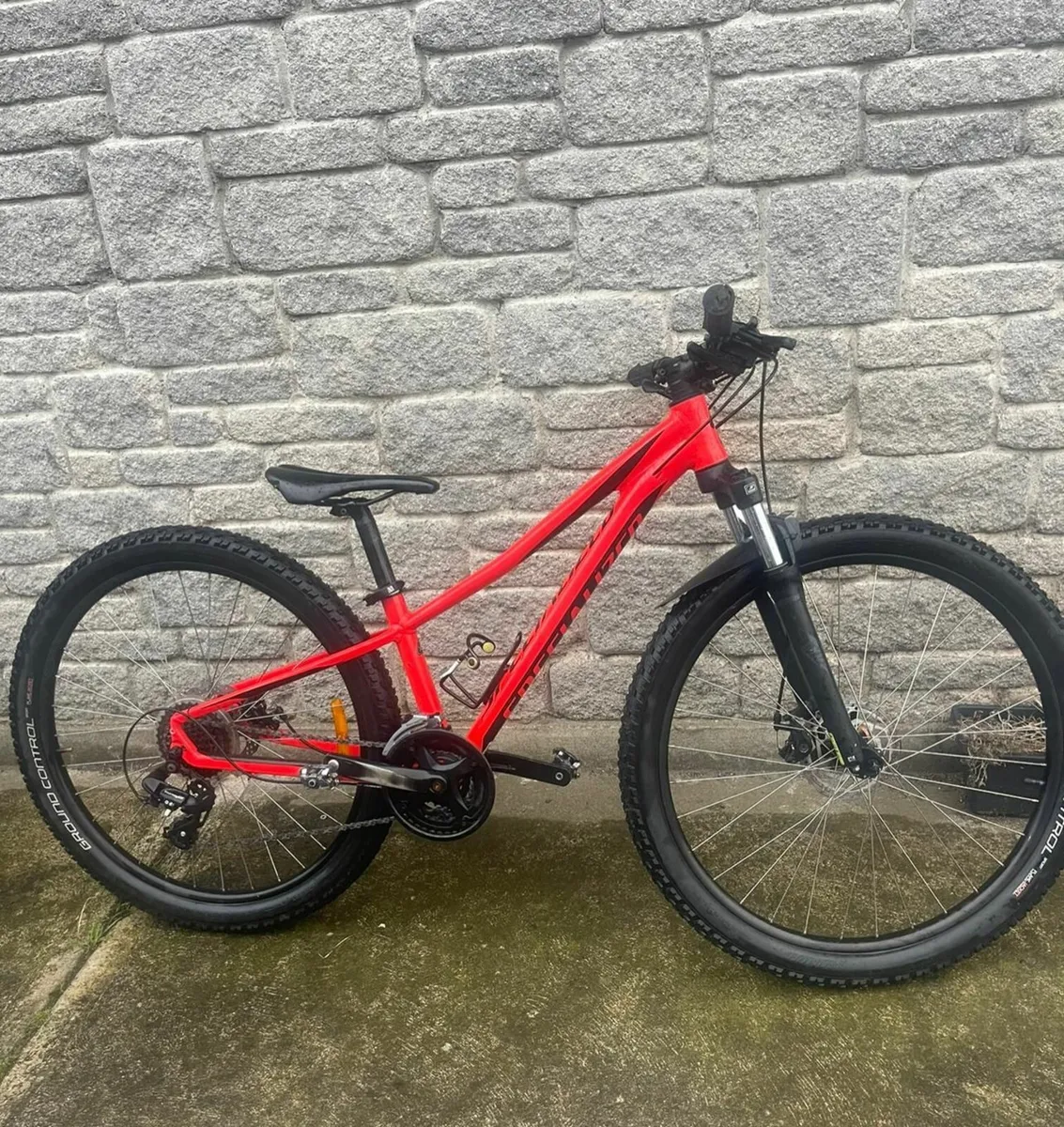 Mountain Bike - Image 1