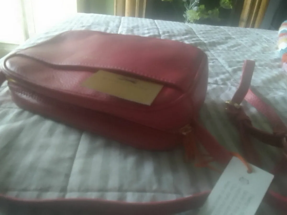 PAUL COSTELLOE PINK LEATHER CROSSBODY BAG NEW - Image 3