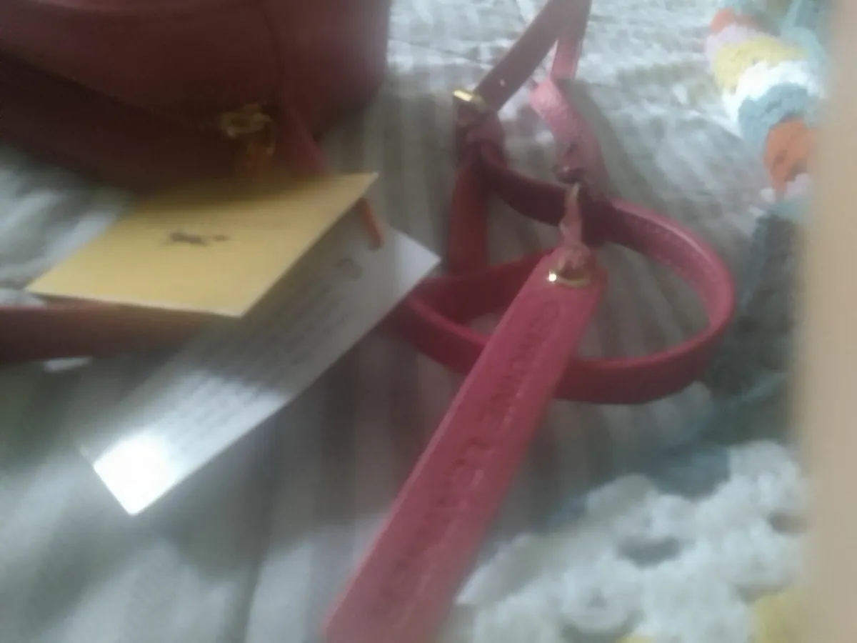 PAUL COSTELLOE PINK LEATHER CROSSBODY BAG NEW - Image 4