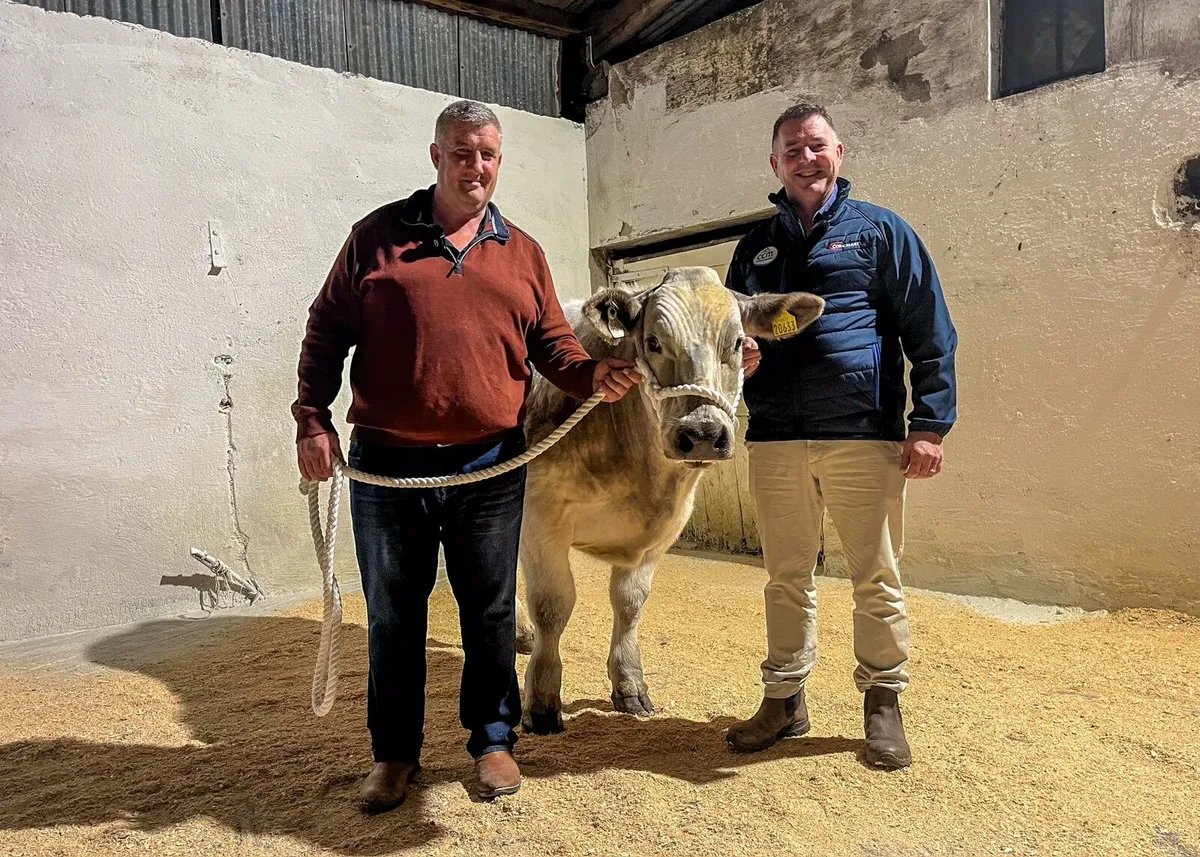 Charity sale Macroom Mart 25th October - Image 2