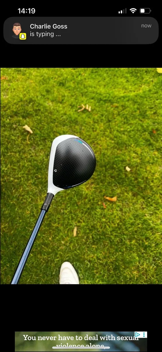 Sim 2 max 5 wood - Image 1