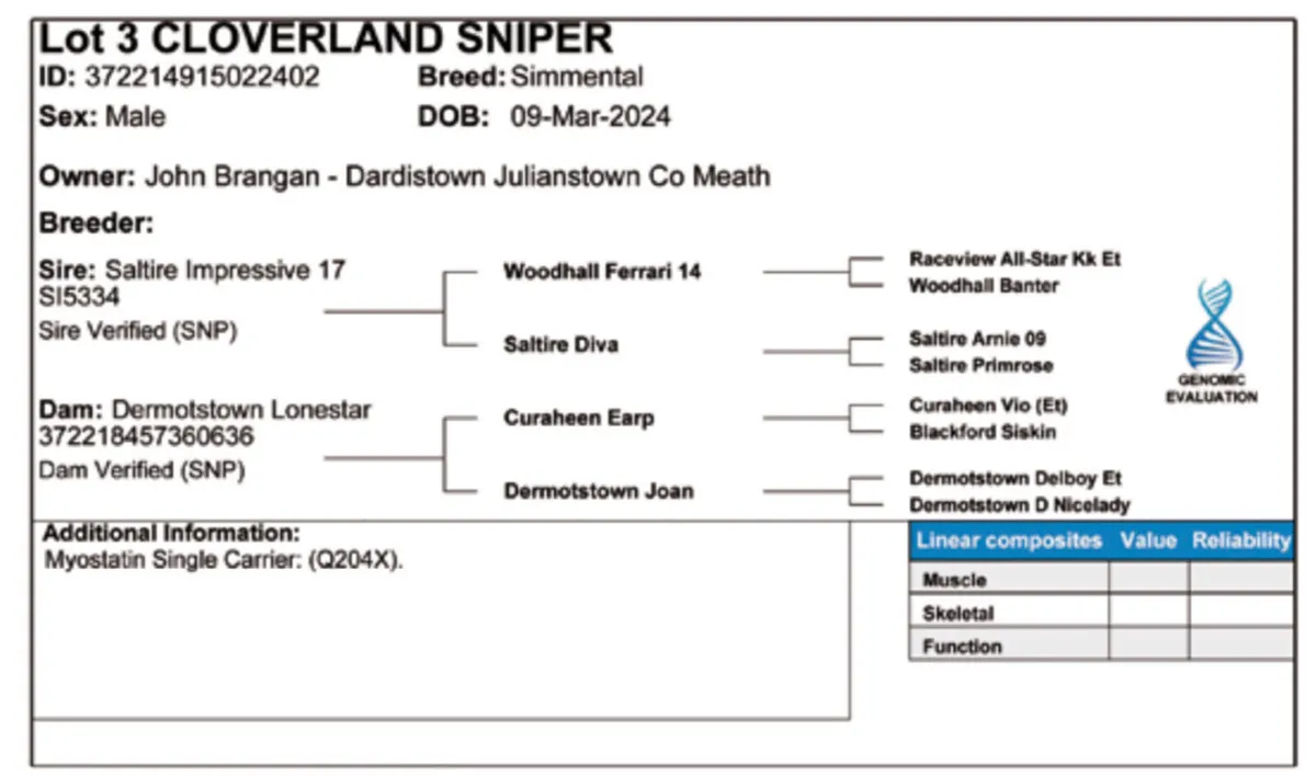⭐️⭐️CLOVERLAND SNIPER⭐️⭐️ - Image 3